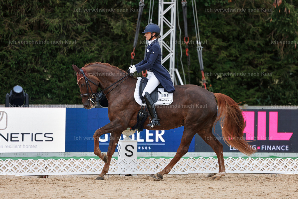 8_1-094-Klasse S_  -StoibPH-3849 | working equitationturnier fotograf videograf stoibphotography marixx film working equitation deutschland reitsport turnierfotografie eventfotografie equestrian events