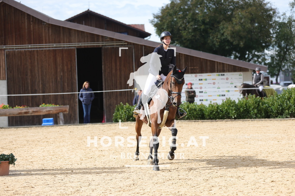 0P6A4233 | Willkommen bei Brunnmayr - Design & Fotografie – Ihrem Spezialisten für Reitturniere und Pferdeveranstaltungen in Oberösterreich, Salzburg und Bayern! Seit über 17 Jahren sind wir leidenschaftlich dabei.