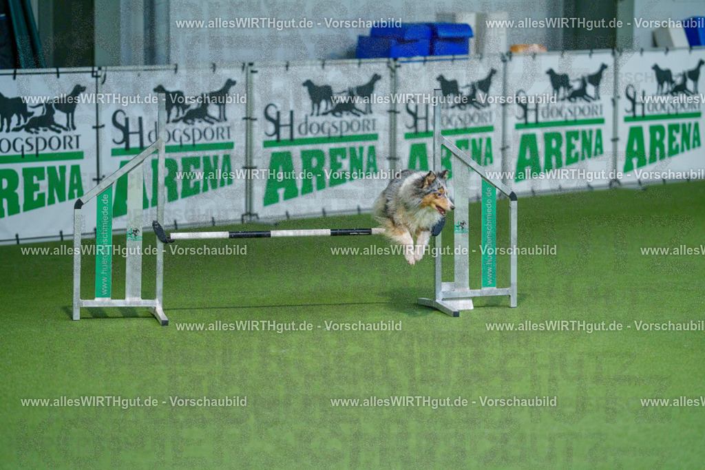 @allesWIRTHgut_Tierfotografie - www.allesWIRTHgut.de - 2604251000-7R509435 | Professionelle Tierfotografie in Mönchengladbach von Daniel Wirth (allesWIRTHgut). Liebevolle & natürliche Bilder von Hunden & Katzen für unvergessliche Erinnerungen.