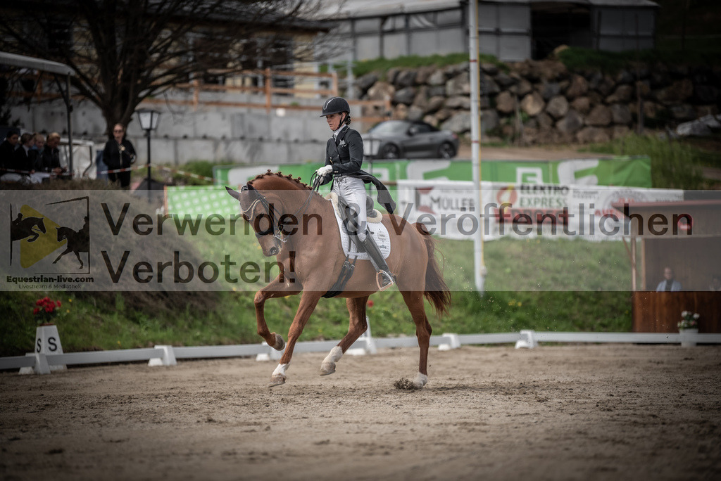 DSC_3132 | equestrian-live-com