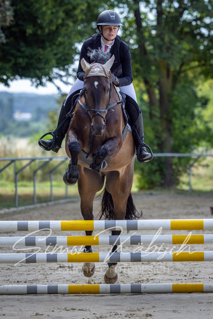 20260704-_3LI6450 | Tierfotografie Pferde, Hunde, Katzen, Haustiere.
Turnierfotografie Reitturniere, Reiten, Springreiten, Dressur in Hanau, dem Main-Kinzig-Kreis und dem Rhein-Main- Gebiet um Frankfurt