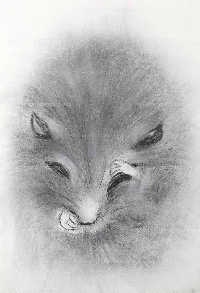 L1020548 (2) | romberg-arts, romberg-arts.de, www.romberg-arts.de, Foto_Online_Shop, Julia Fuhrmann, Köln, Fotos, Fotografie, Fotokunst, Kunstdrucke, Naturfotos, Aktfotos, Nacktfotos, schwarz_weiß_Fotos, Blumenfotos, Blumen, Tiere, Beton, Korrosion, Lächeln, Drucke