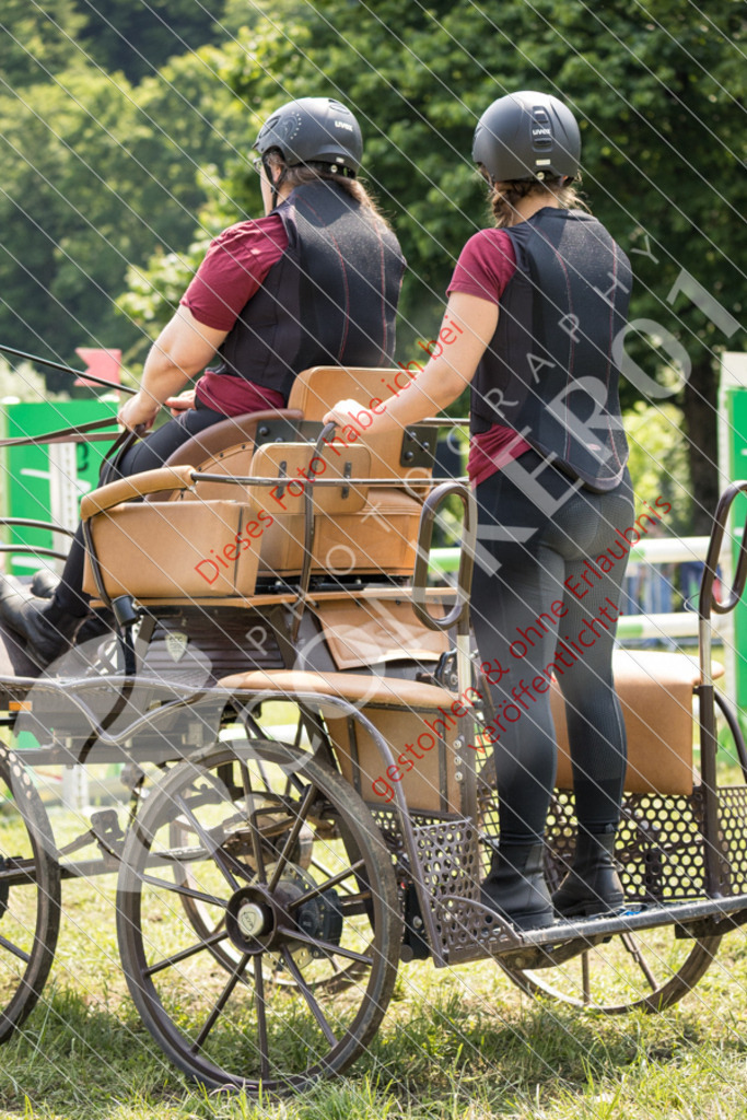 IMG_8131 | Sport-, Event- und Tierfotos in Profiqualität. Einfach auswählen, bestellen und herunterladen. Dein Moment – perfekt festgehalten.