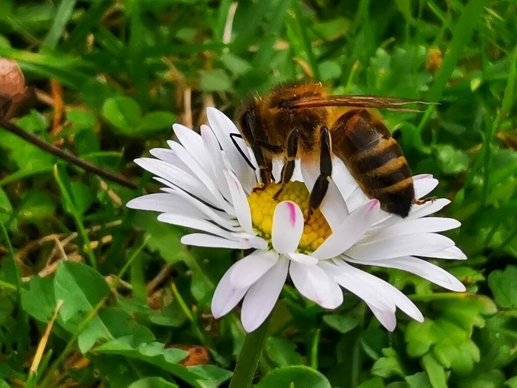 PSX_20221101_222712 | mtkfoto_ - Realisiert mit Pictrs.com