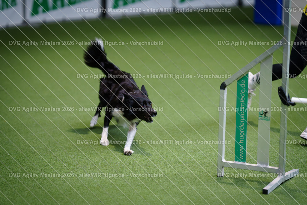 allesWIRTHgut_Tierfotografie-DVG_Agility_Masters_2026-10_19-7R503447 | Professionelle Tierfotografie in Mönchengladbach von Daniel Wirth (allesWIRTHgut). Liebevolle & natürliche Bilder von Hunden & Katzen für unvergessliche Erinnerungen.