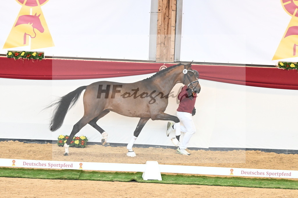 Kat.-Nr. 81 v. Vivino_Freisel_2241057 | hf-fotografie - Realisiert mit Pictrs.com