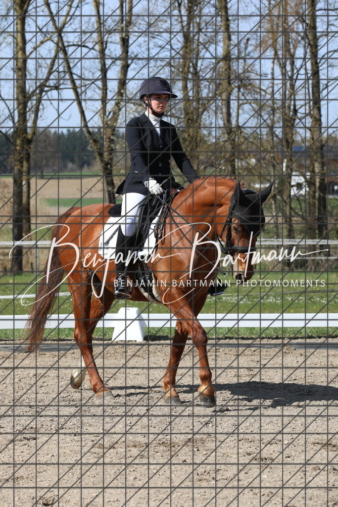 AZ2A6091 | Benjamin Bartmann Photomoments