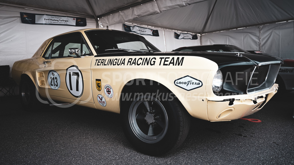 19. Arosa ClassicCar 2023 - 3. September 2023 | 19. Arosa ClassicCar 2023
Arosa, Schweiz
Ford Mustang Terlingua, Jahrgang 1967, von Margelisch Peter aus Schönenberg (Startnummer 213).
@arosaclassiccar, @arosa.official, #arosaclassiccar, #arosa, #76curves, #classiccar
Bild: Sportfotografie Markus Aeschimann | www.markus-aeschimann.ch - Realisiert mit Pictrs.com