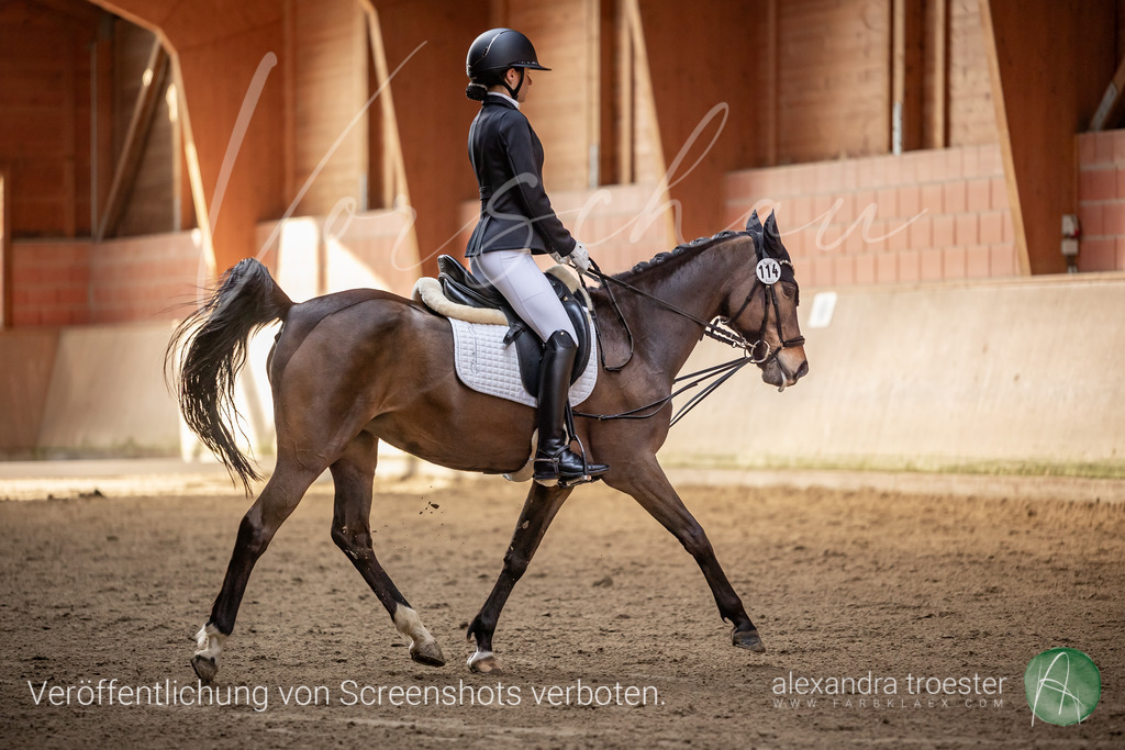 250405_Barop_07_146 | farbklaex.com