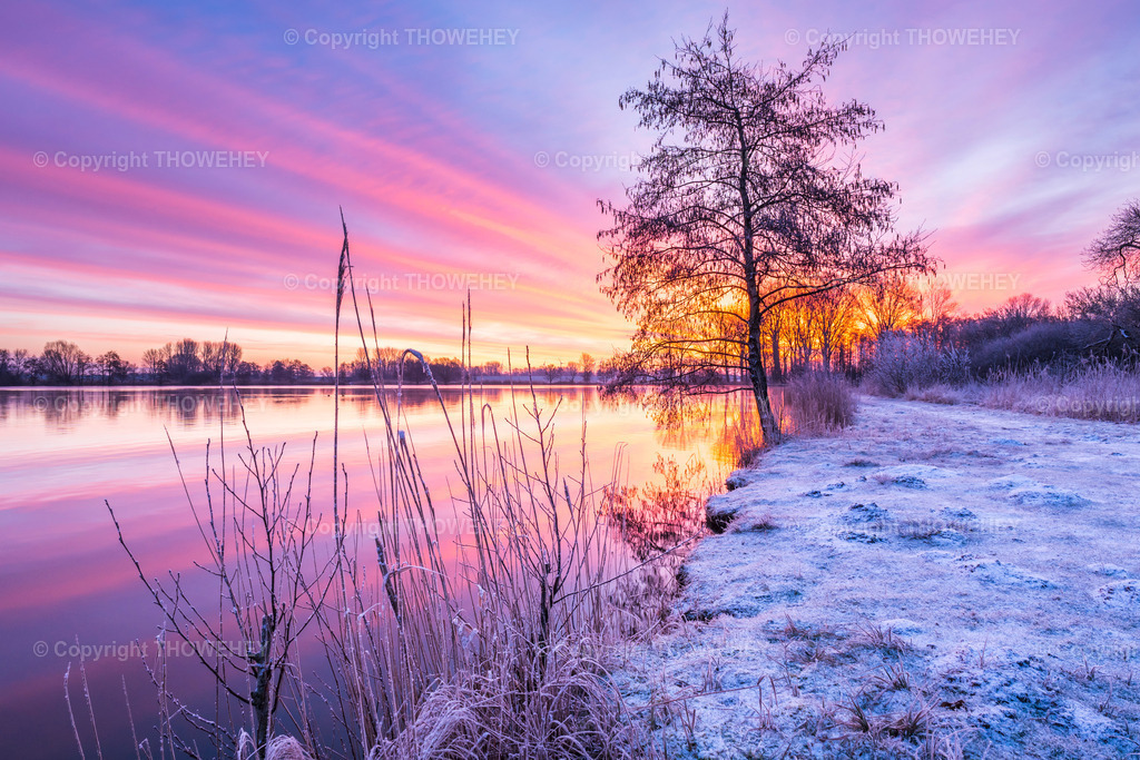 _1027715 | thowehey - Realisiert mit Pictrs.com