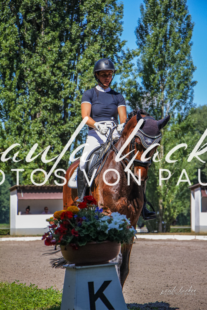 IMG_0371 | Erleben Sie dynamische Sport- und emotionale Tierfotografie in Süddeutschland mit Fotos von Paula. Spezialisiert auf Pferde- und Hundefotografie sowie Sportevents. Kontaktieren Sie mich für einzigartige und ausdrucksstarke Bilder Ihrer besonderen Momente. - Realisiert mit Pictrs.com