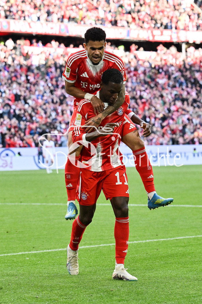 FC Bayern München - VfB Stuttgart | MUNICH, GERMANY - 19. APRIL: Bayern celebrates the goal to makes 2-1 / Tor / Torschuetze / Freude / Happy - Nicolas JACKSON (FC Bayern Munich 11) - during the Bundesliga Match between FC Bayern Munich vs. VfB Stuttgart at Matchday 30 at Allianz Arena / DFL REGULATIONS PROHIBIT ANY USE OF PHOTOGRAPHS AS IMAGE SEQUENCES AND/OR QUASI-VIDEO / Luis DIAZ (FC Bayern Munich 14)