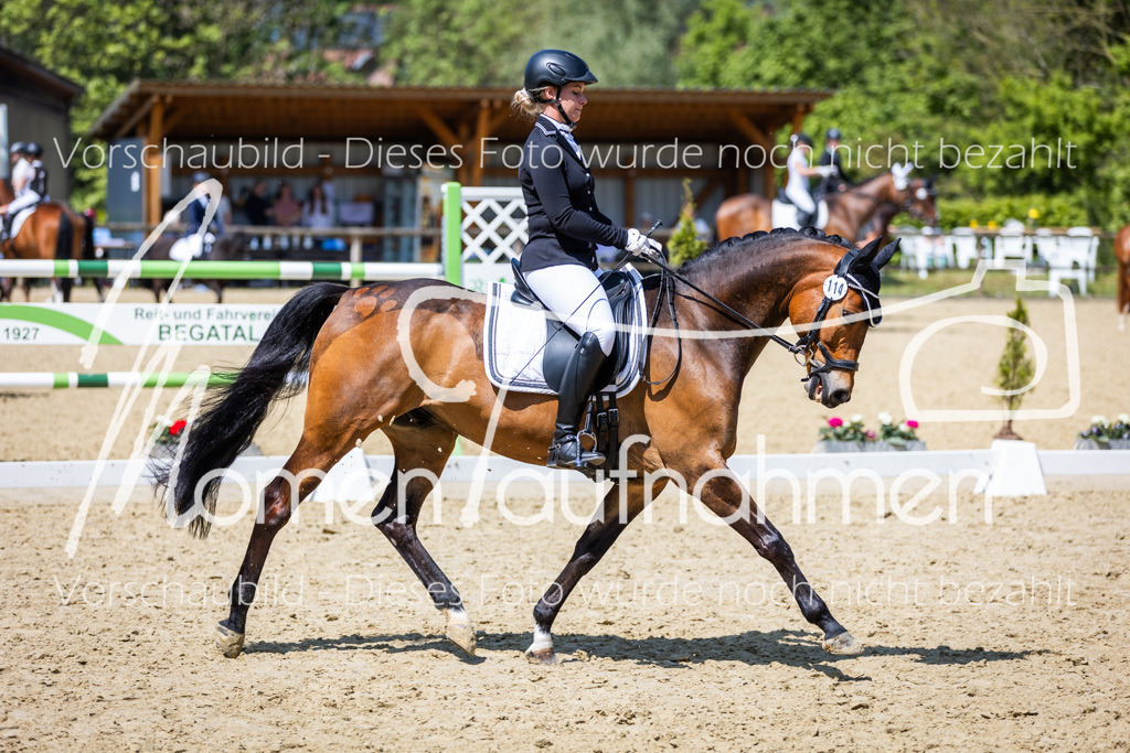 Donop24-L-Dre-102 | MomenTaufnahmen Pferdesportfotos