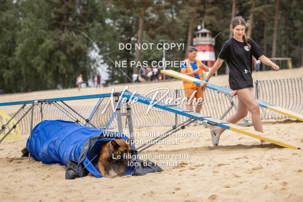 nelerasche_BuHu2026_So1330-1430_04 | nelerasche