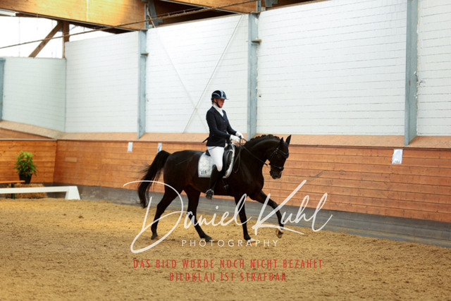 _62_5037 | Turniersportfotografie; Pferdefotografie; Dressurfotografie