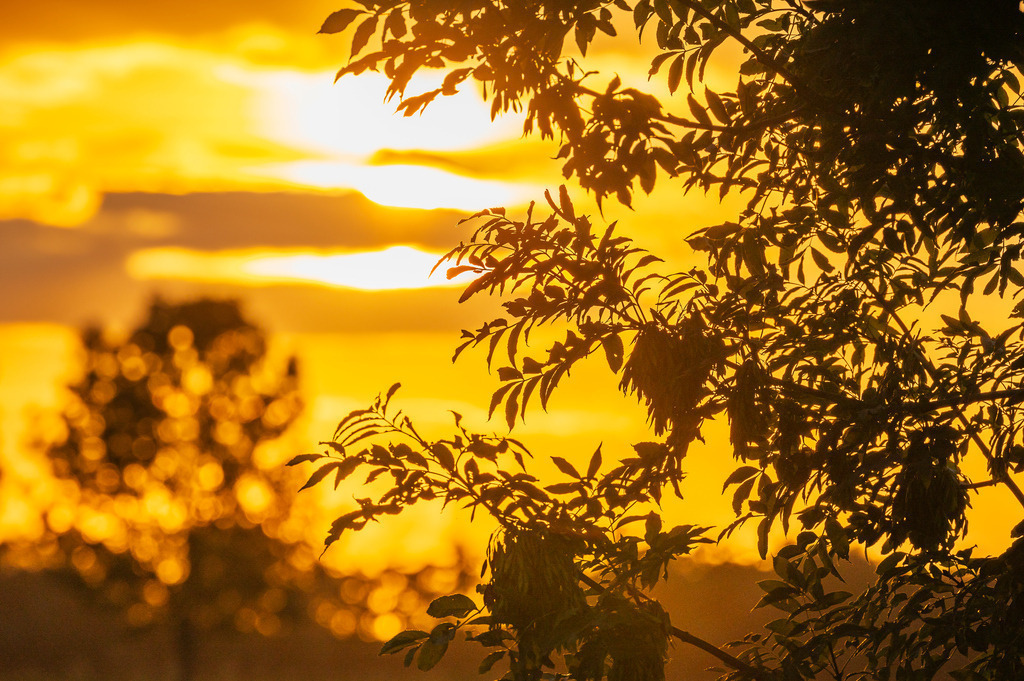 2023_08_04_HETLINGER-SCHANZE_MCP0845 | Hochwertig gedruckte Fotografien für die Wand, als Kalender und zum Verschenken. Hamburg & Norddeutschland und überall wo ich mit der Kamera unterwegs war.