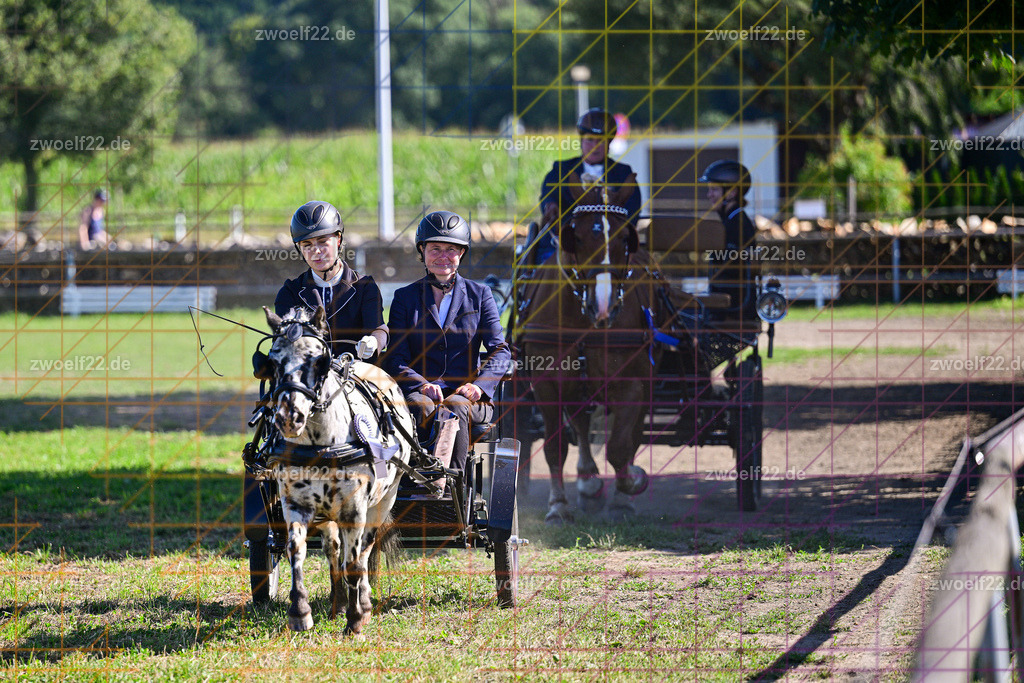 30 Jahre RFV Pulsnitz e.V., Pulsnitz am 09.08.2026 | 30Jahre Reit- und Fahrverein Pulsnitz e.V., Pulsnitz am 08.08.2026, Zur 28. breitensportlichen Veranstaltung des RFV Pulsnitz e.V. fanden verschiedene Wettbewerbe in nahezu allen Disziplinen des Pferdesport statt.- Dressur-Fahr-Wettbewerb - Realisiert mit Pictrs.com