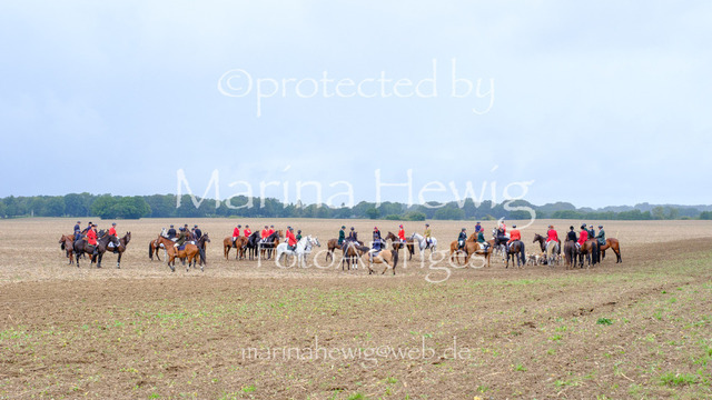 Jagd Perdoel 26 Fuji-9768_MarinaHewig | Fotografie, FotoArt, PferdesportArt, Pferdesportfotografie, Landschaftsfotografie, Reisefotografie, Reise, Pferde - Realisiert mit Pictrs.com