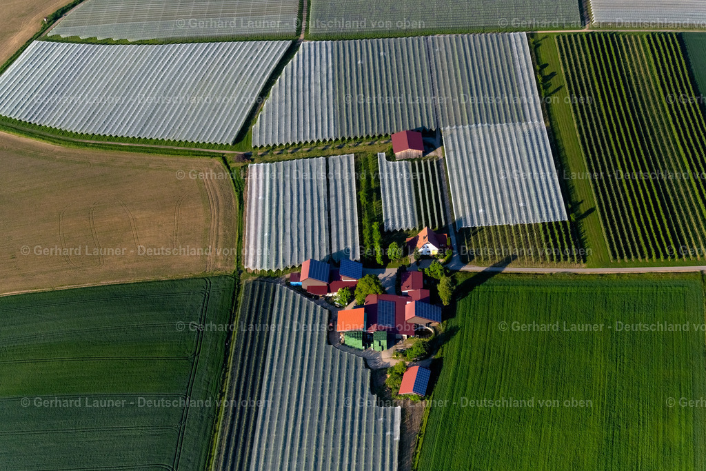 4028656 | BERMATINGEN 17.05.2020 Baumreihen einer Obstanbau- Plantage auf einem Feld und Landwirtschaftbetrieb mit Ferienhof an der Auenstraße in Bermatingen im Bundesland Baden-Württemberg, Deutschland. // Rows of trees of fruit cultivation plantation in a field and Landwirtschaftbetrieb with Ferienhof on Auenstrasse in Bermatingen in the state Baden-Wuerttemberg, Germany. Foto: Gerhard Launer