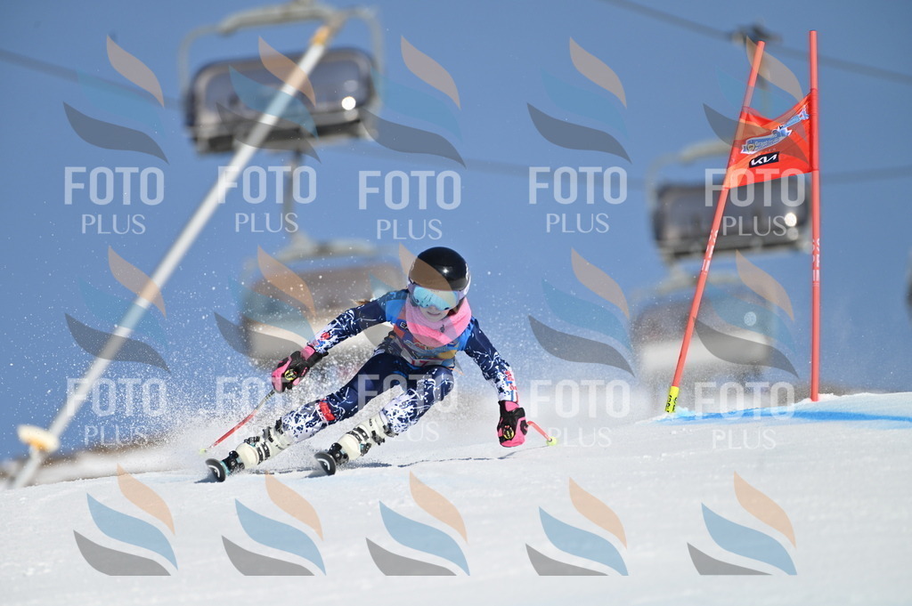 BGV_7890 | holidayphoto