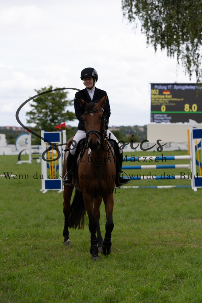 A7V04042 | Pferdefotograf