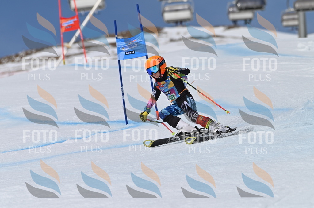 BGV_6700 | holidayphoto