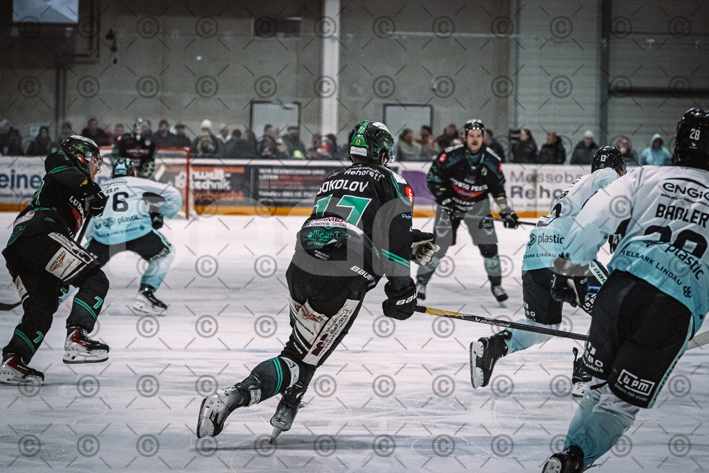 Alligators_vs_Lindau_21_12_2025-073 | Höchstadt Alligators Fotogalerie: Eishockey-Action aus Franken. Professionelle Spielfotos, Portraits & Stadionbilder zum Download. Jetzt entdecken! - Realisiert mit Pictrs.com