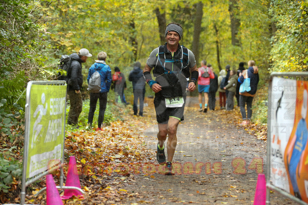 251026_1328_EX1_3511 | Sportfotografie im Rhein-Sieg Kreis, Köln, Bonn, NRW, Rheinland Pfalz, Hessen, etc. Unser Tätigkeitsfeld umfasst den Laufsport vom Volkslauf über den Marathon, Duathlon, Triathon bis zum Ultralauf wie Kölnpfad Ultra oder Schindertrail.