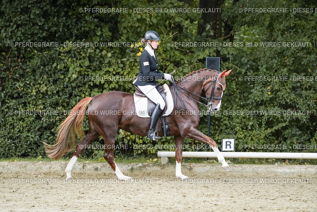 DSC06849 | Pferdegrafie