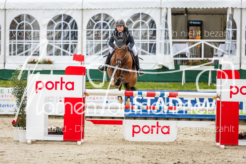 BHO-2PhSpr-M-300 | MomenTaufnahmen Pferdesportfotos
