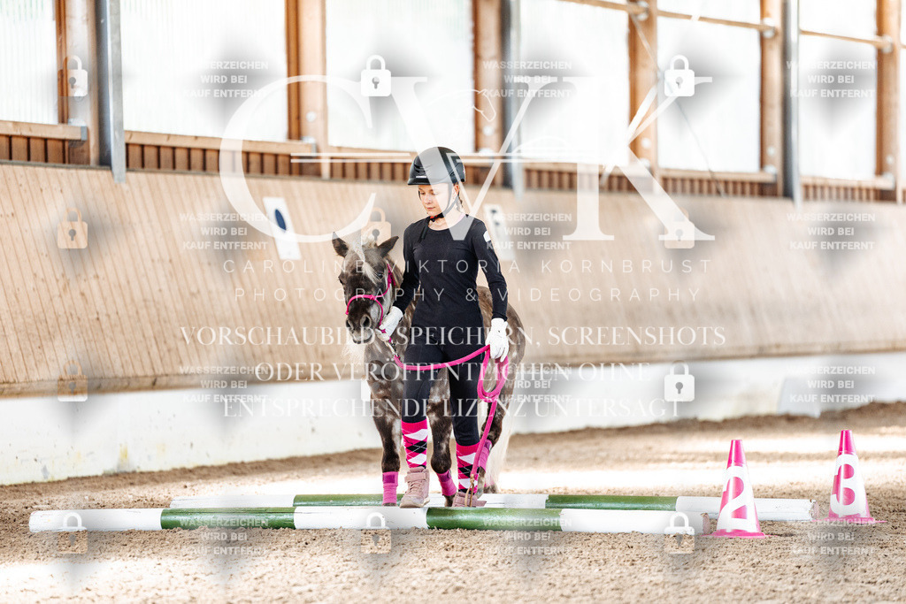 CK905302 | Turnierfotografie Pferdefotografie Trier Rheinland-Pfalz Pferdesport Reitsport Tierfotografie Sportfotografie Pferdevideo Pferdevideografie Equestrianvideography equestrianphotography  - Realisiert mit Pictrs.com