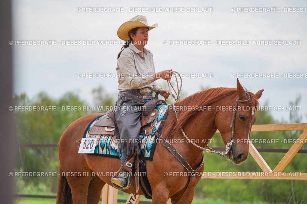 DSC07238 | Pferdegrafie