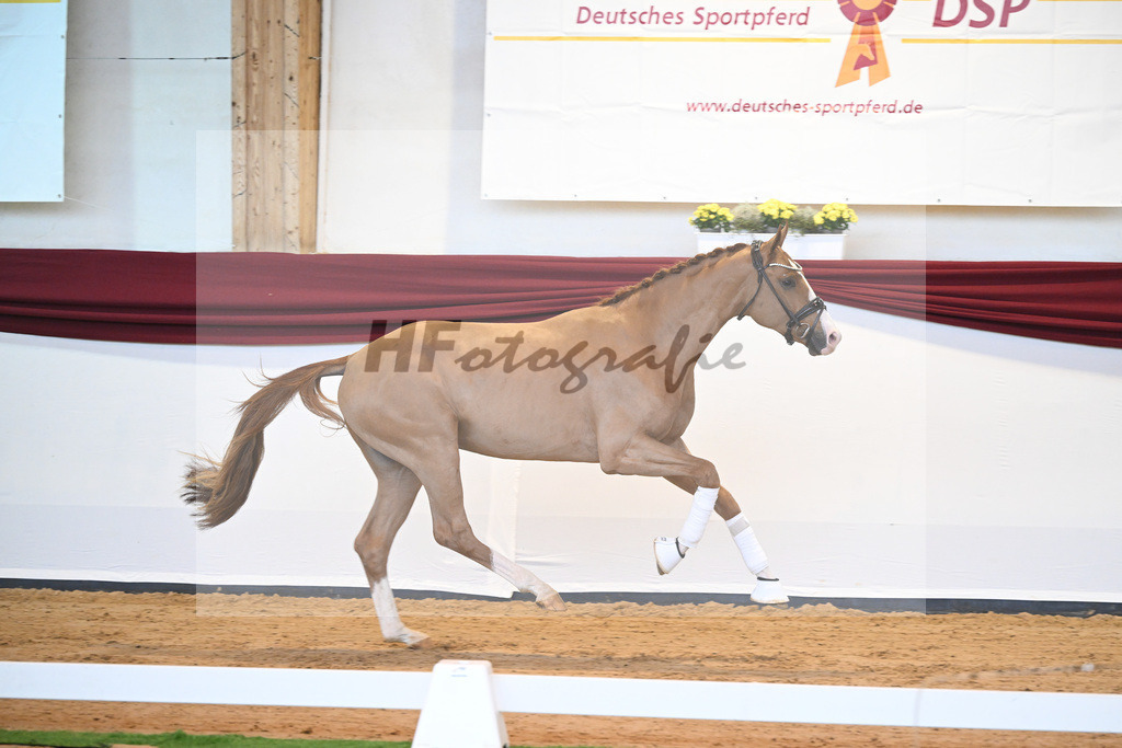 Kat-Nr. 33 v. Fuerst Samarant_Berger_66220393 | hf-fotografie - Realisiert mit Pictrs.com