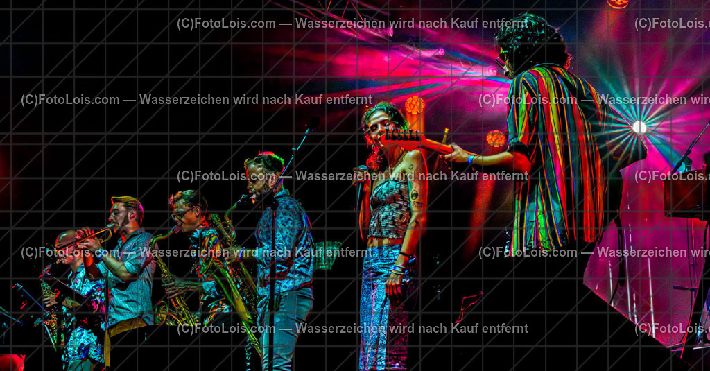 ALP1758_Hiesige-Dosige_Schlosspark | Festival HIESIGE 6 DOSIGE am 8. August 2025