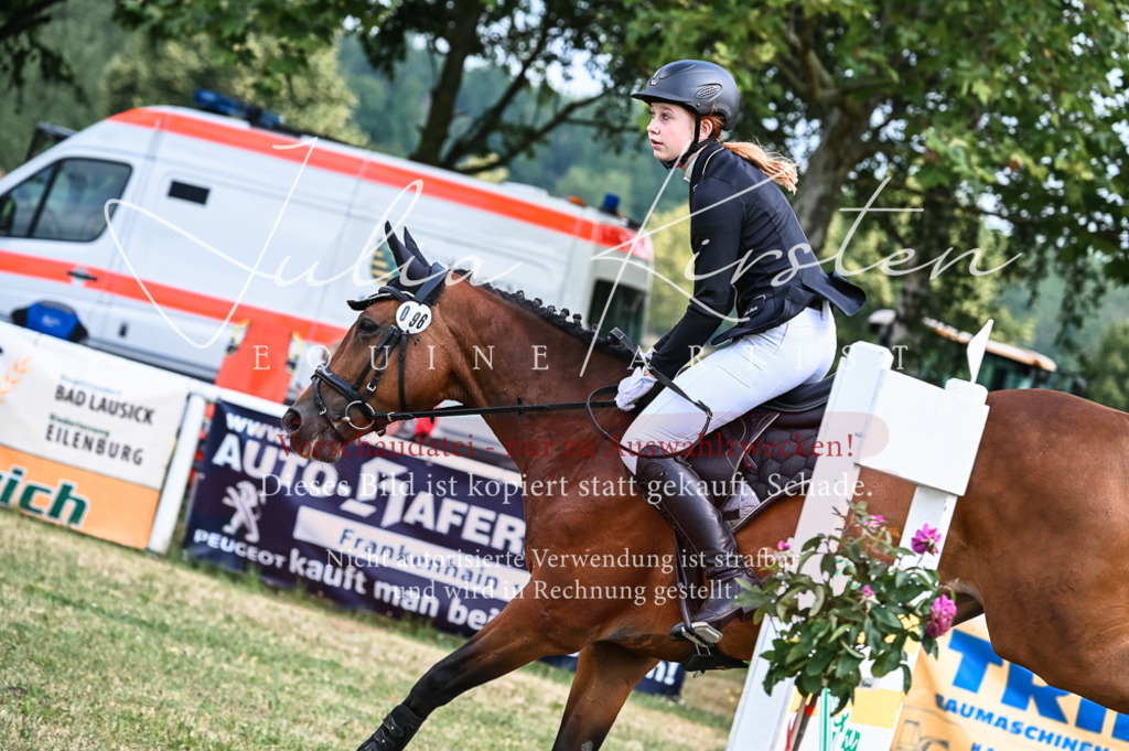 DSC_8478 | Pferde- und Turnierfotografie in Westsachsen. Pferdeportraits, Auftragszeichnungen und intuitive Kunst.