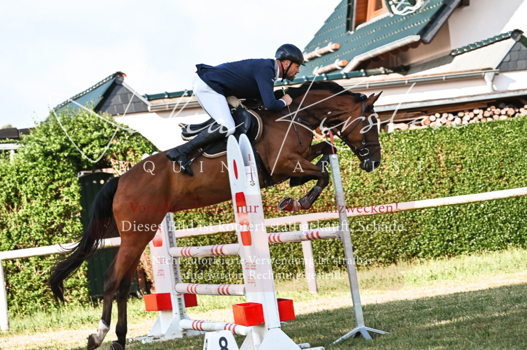 DSC_7430 | Pferde- und Turnierfotografie in Westsachsen. Pferdeportraits, Auftragszeichnungen und intuitive Kunst.