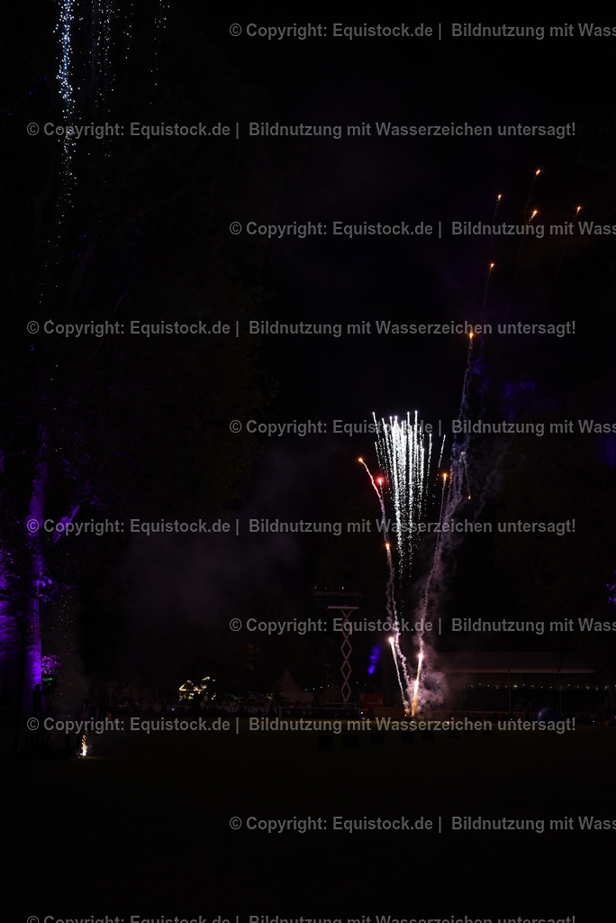 20230526_Pferdenacht_1590 | equistock