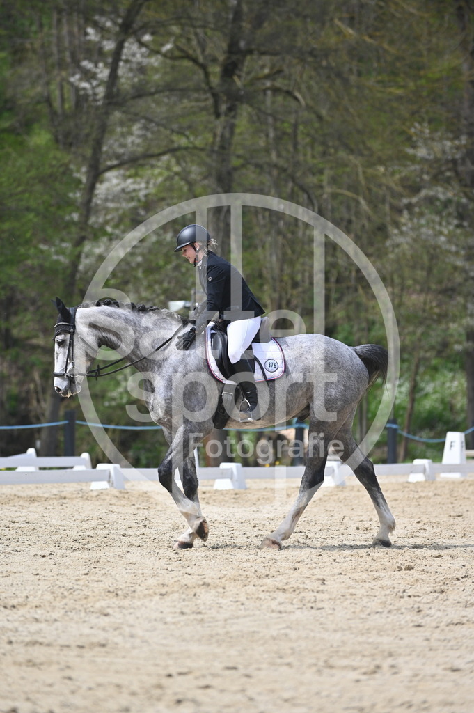 DSC_3630 | sattelsport - Realisiert mit Pictrs.com