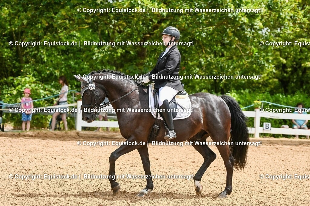 20230716_03_Dressurprfg. Kl.L - Tr._0183 | equistock