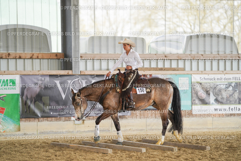 DSC01378 | Pferdegrafie