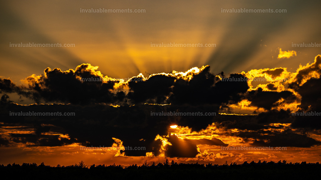 DSC_5871 | invaluablemoments.com - Realisiert mit Pictrs.com