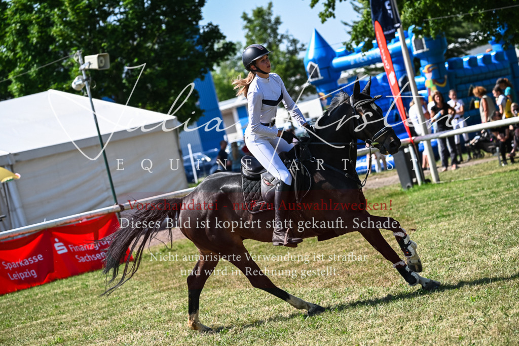 DSC_1552 | Pferde- und Turnierfotografie in Westsachsen. Pferdeportraits, Auftragszeichnungen und intuitive Kunst.