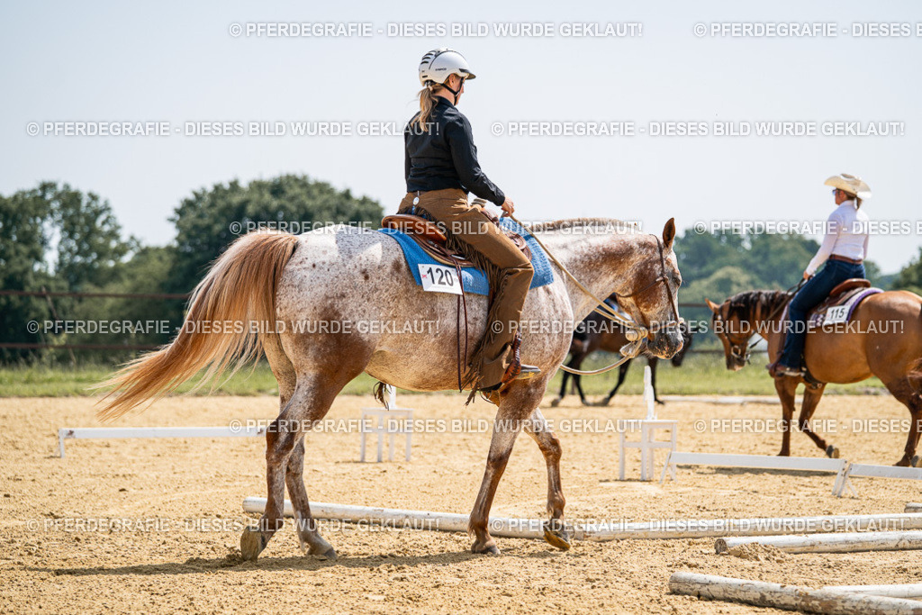 DSC00588 | Pferdegrafie