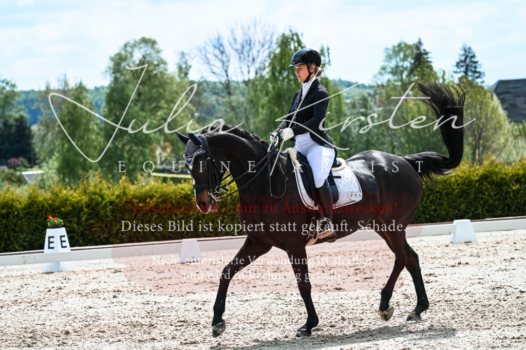 20230513_JK-Röhrsdorf-10-0807 | Pferde- und Turnierfotografie in Westsachsen. Pferdeportraits, Auftragszeichnungen und intuitive Kunst.