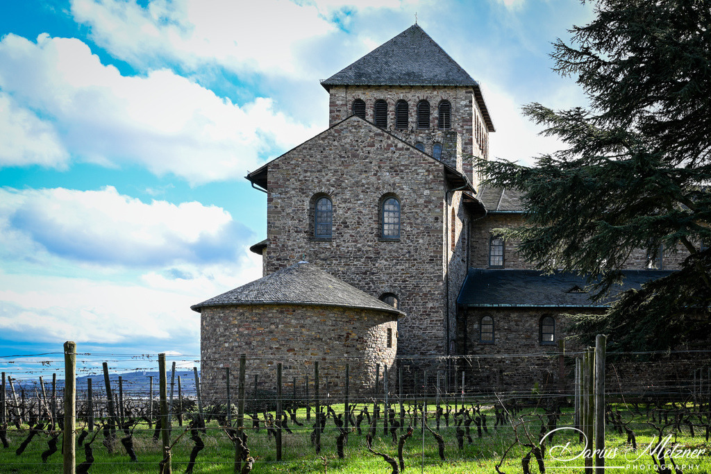 DSC_0651 | Fotografien, Fotos und Bilder aus Mainz, Frankfurt, Wiesbaden und anderen Orten auf der Welt - Fotografiert von Darius Metzner