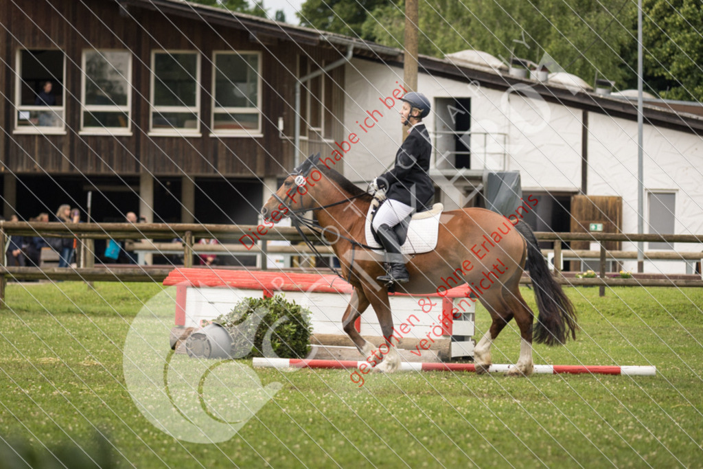 IMG_8369 | Sport-, Event- und Tierfotos in Profiqualität. Einfach auswählen, bestellen und herunterladen. Dein Moment – perfekt festgehalten.