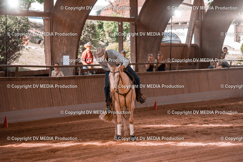 NE201027 | dv-media-shop - Realisiert mit Pictrs.com