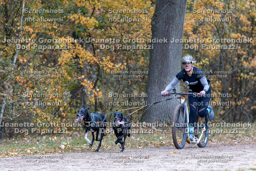 Dog Paparazzi - SD CaniX Championship 2025-158 | Dog Paparazzi Jeanette Grottendiek Fotografie & Videografie - Realisiert mit Pictrs.com