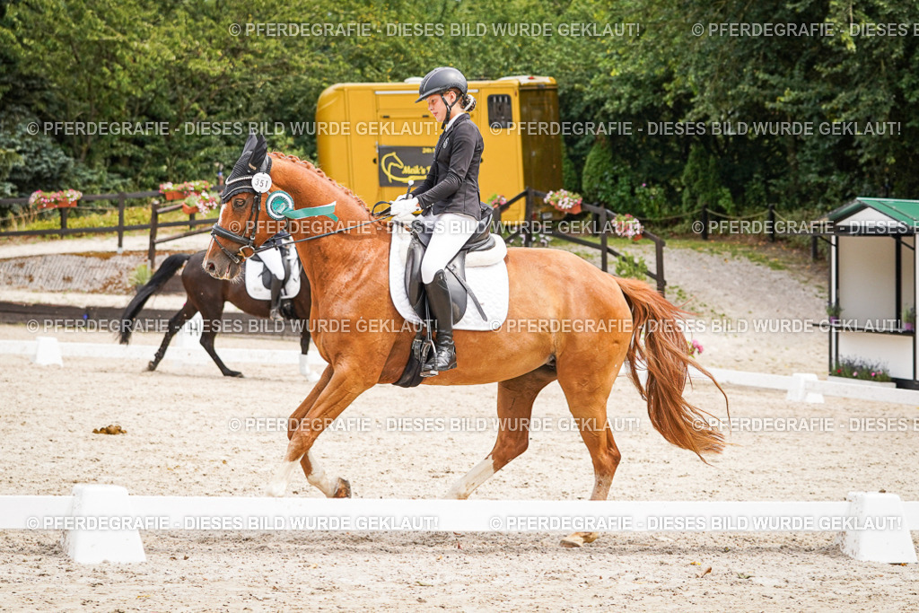 DSC04630 | Pferdegrafie