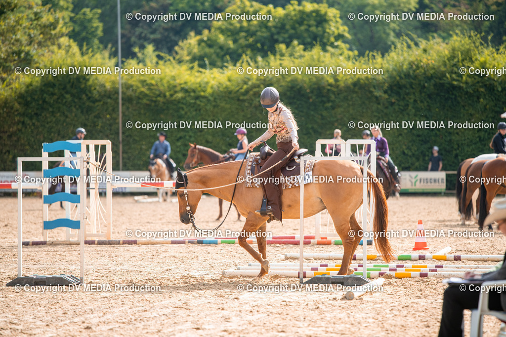 ZS2_7543 | dv-media-shop - Realisiert mit Pictrs.com